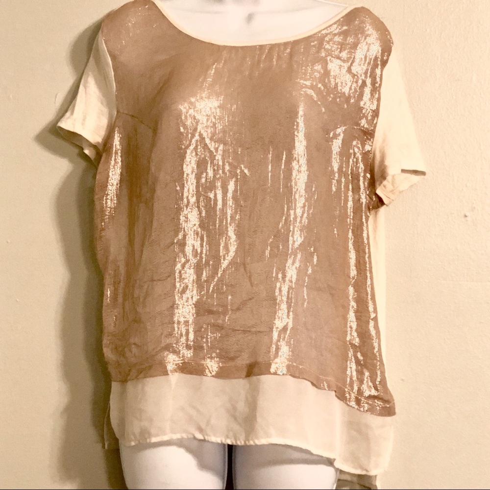 H&M sheer metallic silk cotton Hi Lo blouse - Picture 1 of 5